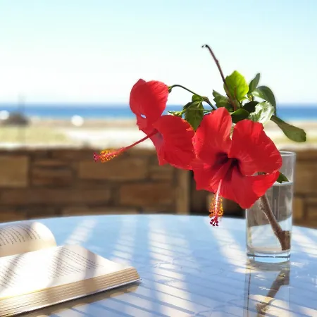 Kyma - Naxos Lejlighed